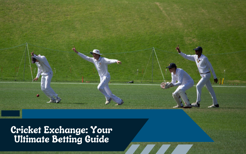 Cricket Exchange: Your Ultimate Betting Guide