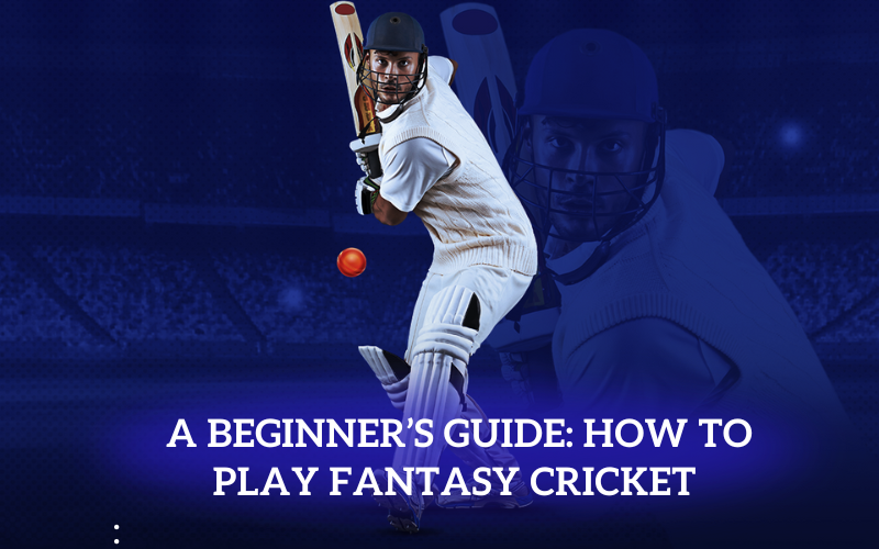 How to Play Fantasy Cricket: A Beginner’s Guide